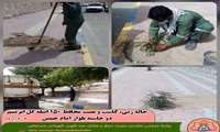 چاله زنی کاشت و نصب 150 اصله گل ابریشم دو حاشیه بلوار امام حسین