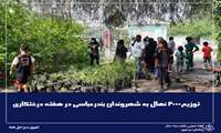 توزیع۲۰۰۰ نهال به شهروندان بندرعباسی در هفته درختکاری 