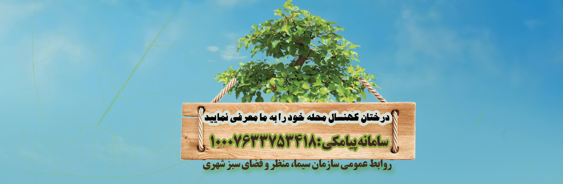 شناسایی و پلاک کوبی درختان کهنسال شهر بندرعباس