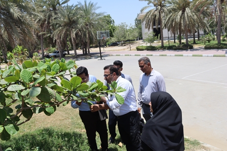 کنترل آفات فضای سبز بندرعباس در راستای اجرای برنامه جامع توسعه، کنترل و مبارزه اصولی با آفات فضای سبز شهری